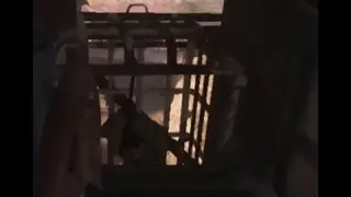 Gunthief Victim hides in the elevator