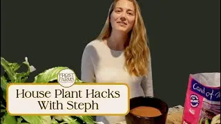 Stop Killing Your Indoor Plants! 🌿 Expert Houseplant Tips from a Pro Grower