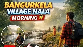Nature's Morning Gift: A Vlog from the Woods