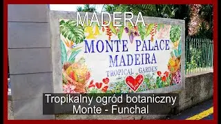 🇵🇹 МАДЕЙРА • На канатной дороге в тропический сад на Монте
