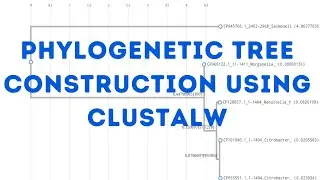 Phylogenetic tree construction using CLUSTALW