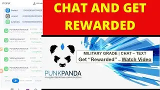 Chat with Punk Panda and Get 💰Rewarded💰