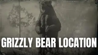 RDR2 Grizzly Bear Location | Animal Locations