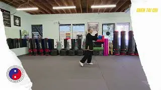 Lao Jia Yi Lu Tai Chi Demonstration by Cheri | Chen Style | Golden Rishi