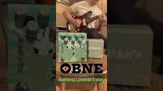 Pedal Demo | Old Blood Noise Endeavors: Bathing Liminal Delay