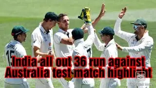 India all out 36 run against Australia test match highlight