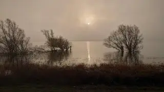 RSPB Ouse Washes (Trangia Moments) Welches Dam Manea