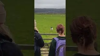 Lowland Walk Leader #walking #Cumbria #apprentice #outdoors #training