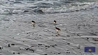 Na Gille Br&iacute;ghde (Gaeilig Inis Eoghain)