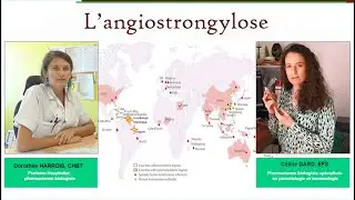 Dorothée HARROIS (CHBT) et Céline DARD (EFS) – L’angiostrongylose – Projet Malin