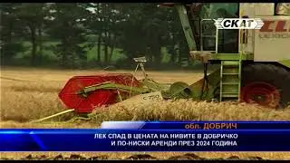 Лек спад в цената на нивите в Добричко и по-ниски аренди през 2024 година