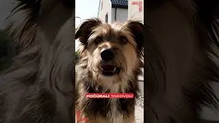 Soutěžte s LOMAXem o 3&times; 100 000 Kč!