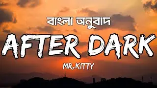 Mr.Kitty - After Dark Lyrics - (Bangla & English) | Frozen Wave