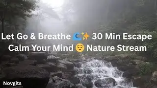 30 Min Relaxing Stream Sounds for Meditation & Letting Go 🌿 No Ads, Just Peace