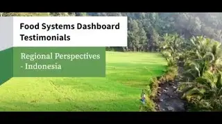 Food Systems Dashboard Country Perspectives: Indonesia