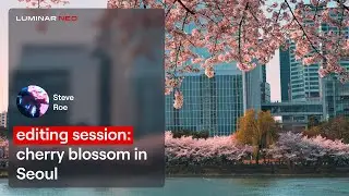 Editing Session: Cherry Blossom in Seoul with Steve Roe | Luminar Neo