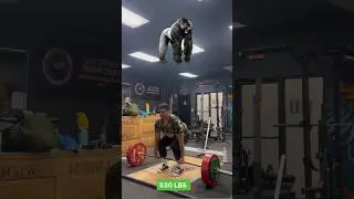 530 LB DEADLIFT #fitness #shorts #motivation #gym #losangeles