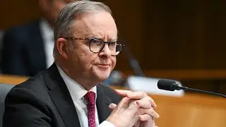 &lsquo;Not one issue' nor 'one minister&rsquo;: Problems 'screaming from the rooftop' at Albanese