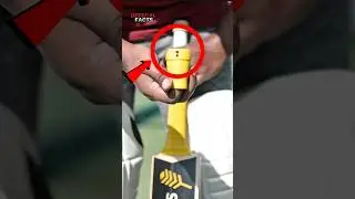 Cricket FANS Must Have THESE 3 Amazing Gadgets!