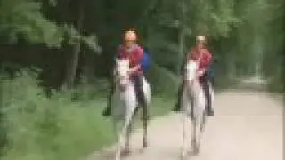 Endurance Riding