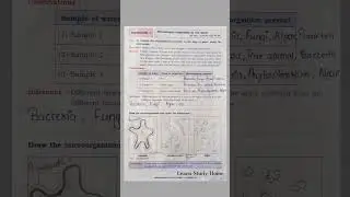 Vikas Science Journal Class 6 Experiment 4 Answers #science#experiment#study#journal#class#6#subject