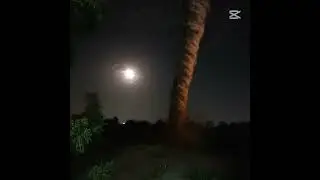 эдит про торнадо 2