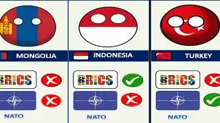 Countries That Support NATO Vs BRICS