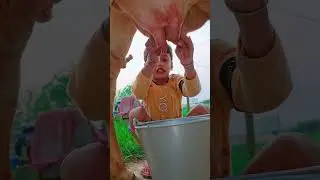 choti choti gaiya yttgf ggf #love #song #funny hgt