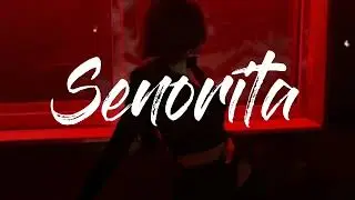 Senorita ( Slowed+Reverb) | Kalam Ink | @mid_night_mess