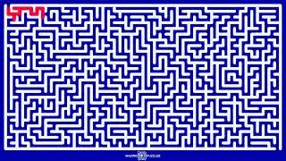 Maze Puzzle Challenge with Animated Multi Paths | Difficulty Level 5 | Maze Game No. #122