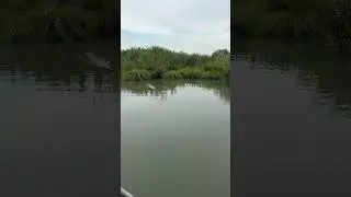 Sister is chasing the final boss 💀 #fishing