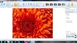 How to edit your pictures easily