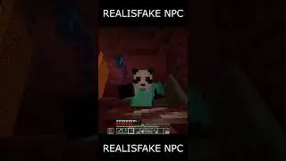 Realisfake npc 💀