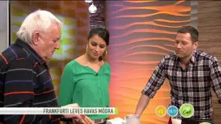 Havas Henrik sosem evett menza kosztot? - 2016.02.04. - tv2.hu/mokka