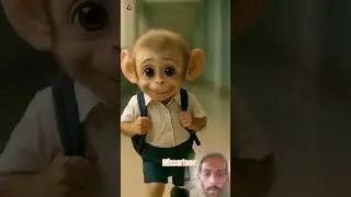 emotional story monkey#monkeyjourney #monkeybaby #monkey #monkeyvideo #viralvideo