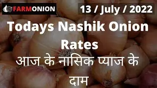 13 July 2022 Nasik Onion Rate Export And Domestic Quality , Nasik Pyaj Mandi , Nasik Onion Market