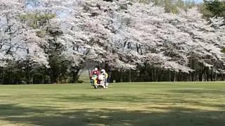春爛漫