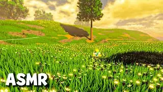 ASMR 😴 Explorando Lugares RELAJANTES 💤