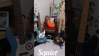 Squier by Fender #squierbyfender #squieraffinity #squier #guitar #bass