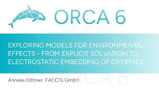 ORCA 6.0 Release Event: Anneke Dittmer - Modeling Environment Effects