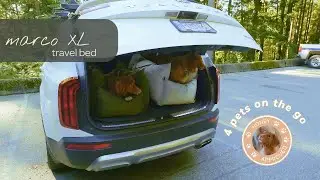 Marco XL Travel Bed- 4 Pets On The Go!
