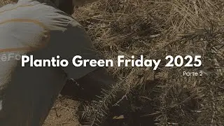 Green Friday 2026 - parte 2| CURTLO