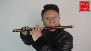 Professional Chinese Bitter Bamboo Dizi Flute with Accessories 笛子