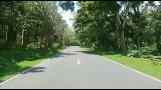Mudumalai Ride / Elephant /nilgiris/ ride