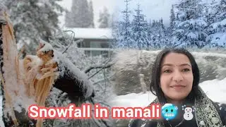 Snowfall in Manali – When Nature Speaks |