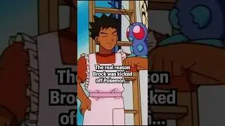 The real reason Brock was kicked off Pokemon...  #pokemon