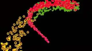 sraban flower.fx