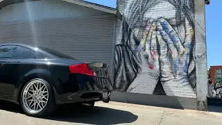 Only VQFans