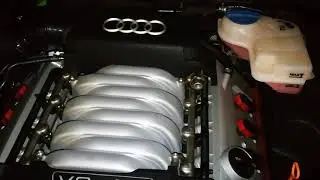 S4 4.2 V8 Chain Rattle