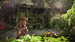 HORIZON -PS5:Золотая коллекция ⭐